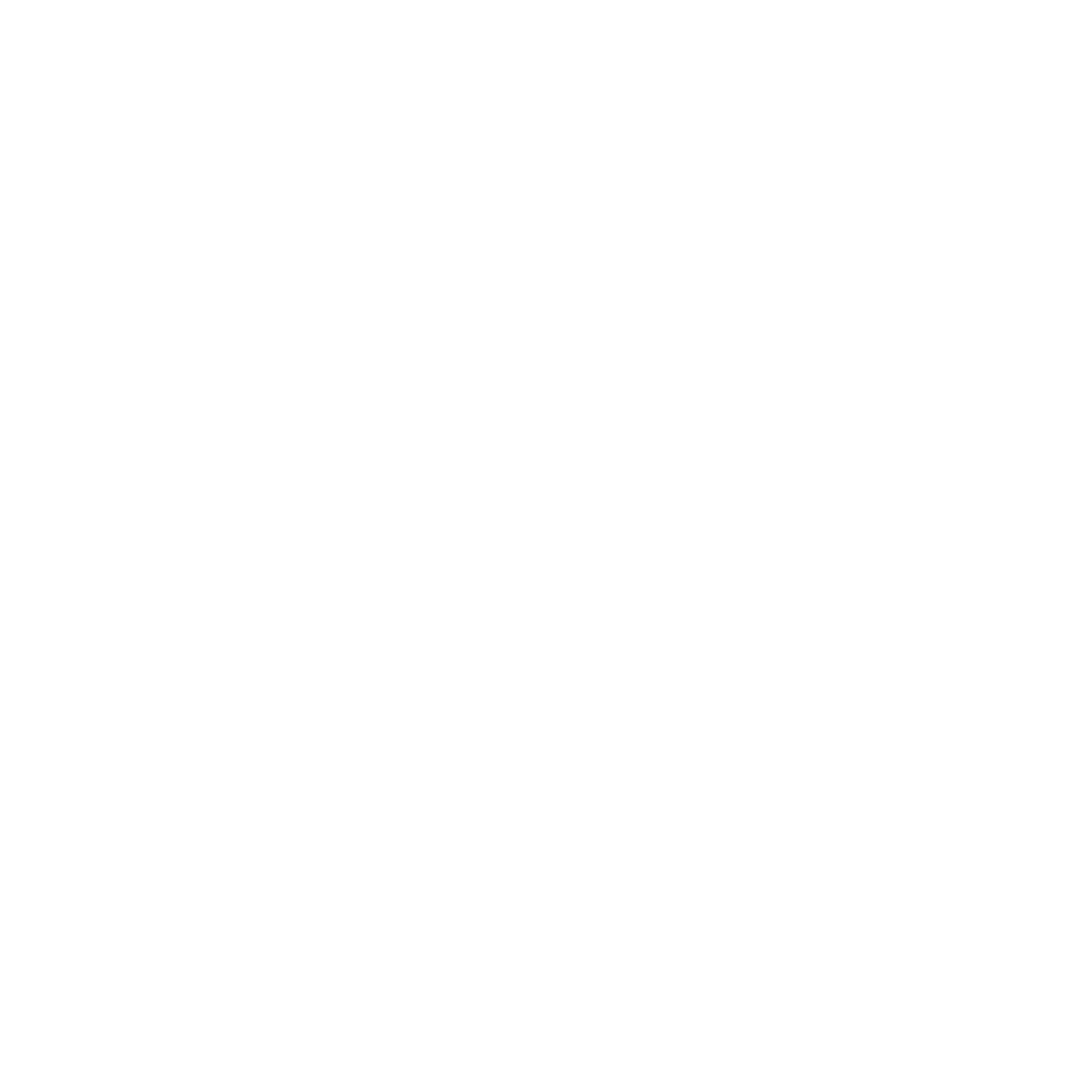 IG LOGO